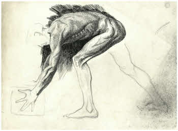 Visualizza l'immagine "FD D 800"